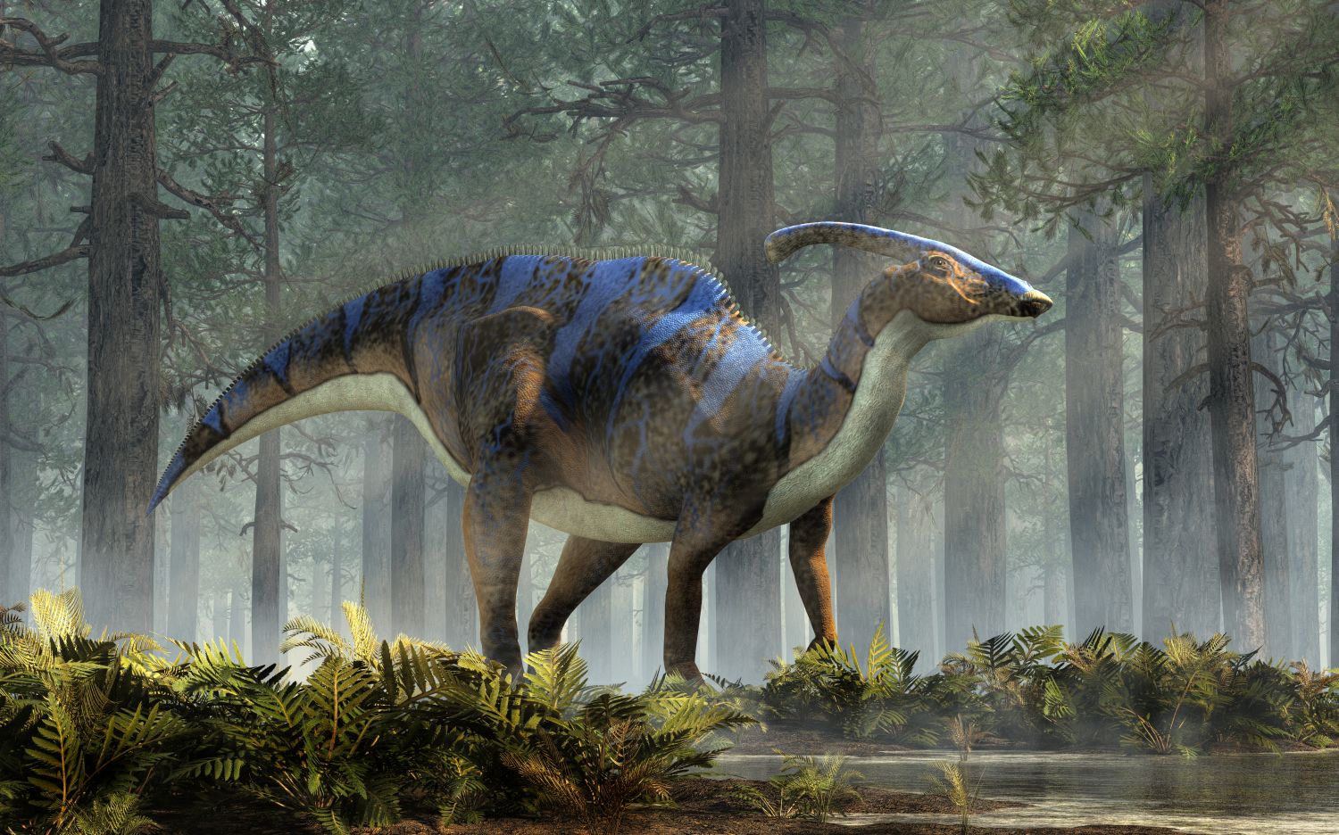 parasaurolophus